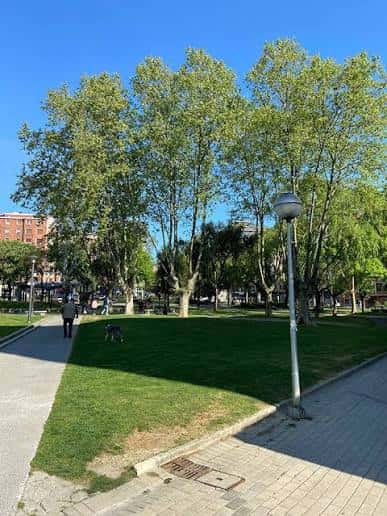Sendero arbolado con césped y personas paseando