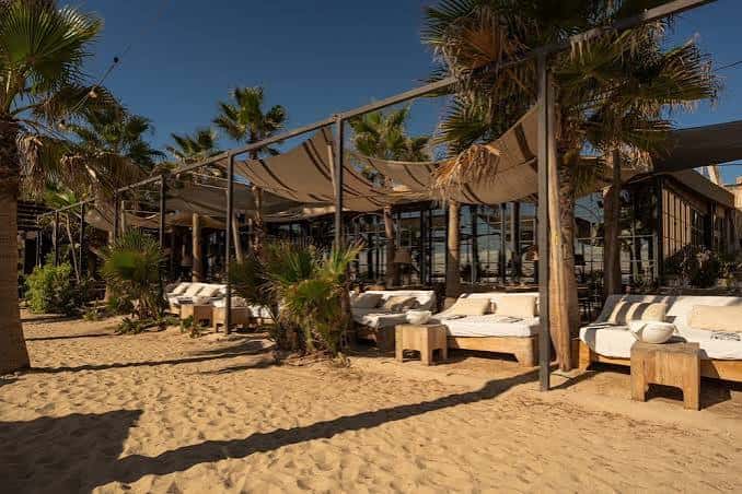 Zona de lounge con sofás blancos bajo toldos y palmeras