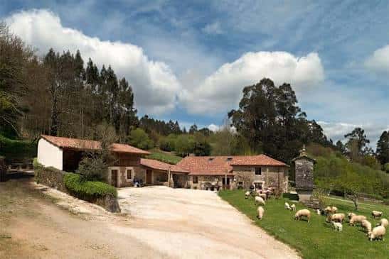 Panorámica del complejo rural con ovejas pastando en el entorno natural