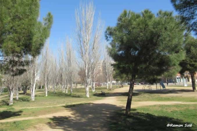 Paisaje del parque con senderos arbolados y zonas verdes