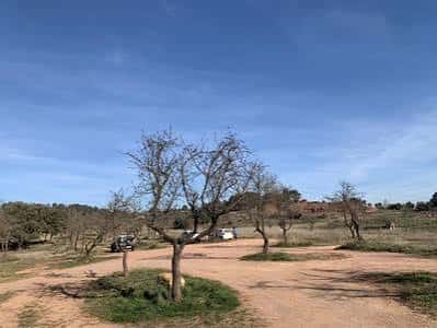 Vista panorámica del Pla de la Mina con árboles y cielo despejado