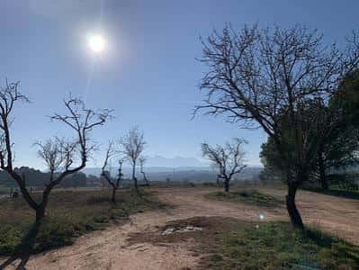 Sendero rural en el Pla de la Mina bajo un día soleado