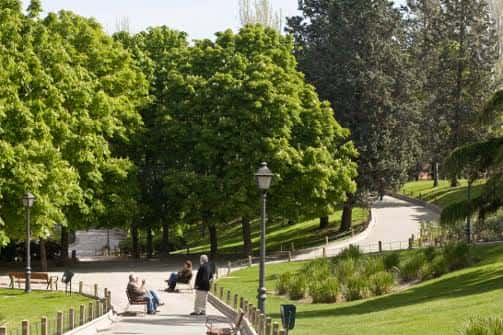 Sendero arbolado en el Parque de Berlín con personas descansando en bancos y vegetación verde vibrante