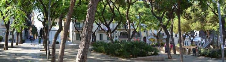 Vista panorámica de la Plaça de la Farga con árboles frondosos y bancos