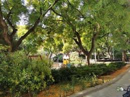 Área verde con sendero y vegetación densa en la plaza
