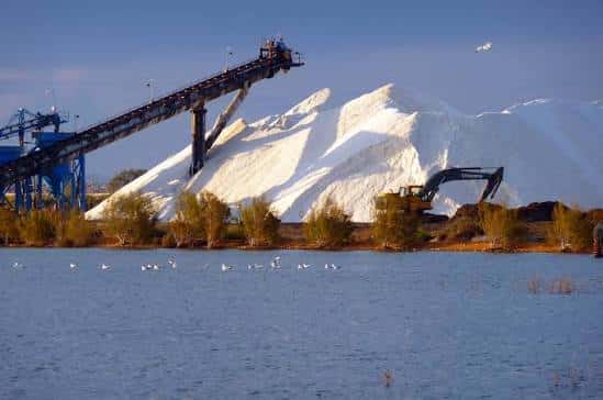 Vista panorámica de las salinas con grandes pilas de sal y aves acuáticas en primer plano