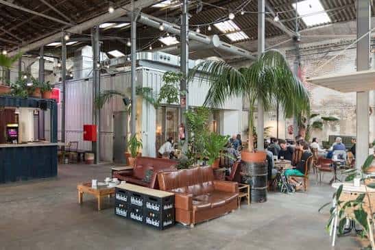 Interior del espacio con sofás de cuero y plantas en un ambiente industrial