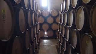 Interior de la bodega con barricas apiladas y luz natural
