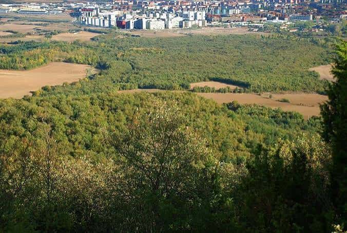 Vista aérea del bosque y la zona urbana desde los montes