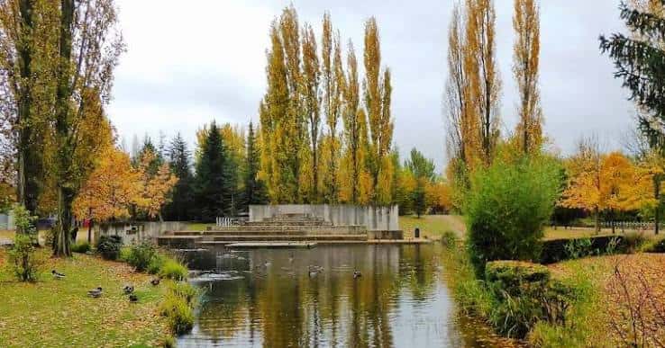 Escenario al aire libre frente al lago rodeado de altos chopos con follaje otoñal