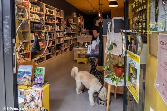 Interior acogedor de la librería con estanterías llenas y un perro paseando