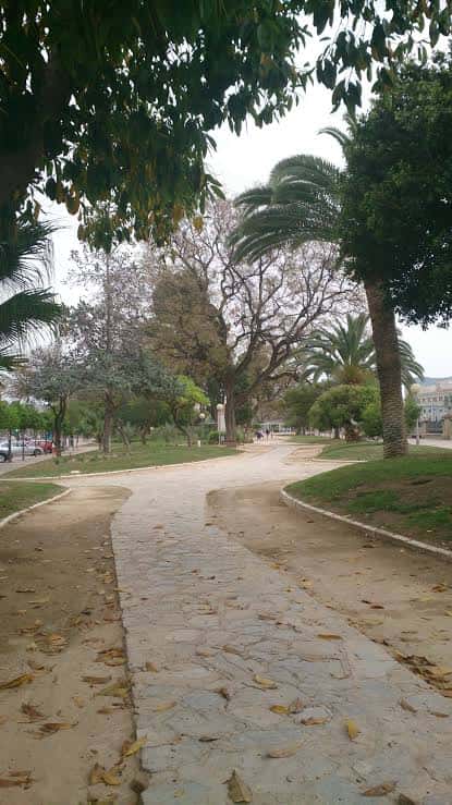 Sendero de piedra en el Paseo del Teniente Flomesta con palmeras y árboles frondosos