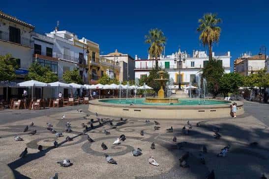 Vista amplia de la plaza con palomas y terrazas al fondo