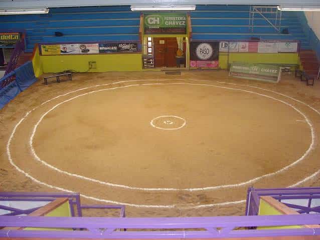 Arena central del pabellón con líneas blancas marcadas para eventos deportivos o culturales