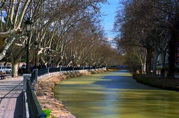 Paseo arbolado junto al canal en un día soleado