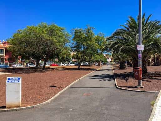 Vista del parque con senderos arbolados y palmeras bajo cielo despejado