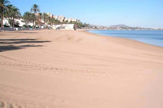 Vista panorámica de la playa con arena dorada y palmeras bajo un cielo despejado