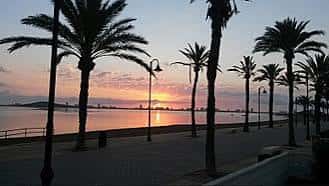 Atardecer sobre el paseo marítimo con siluetas de palmeras reflejadas en el agua