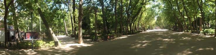 Avenida arbolada en el interior del parque con sombra y luz natural