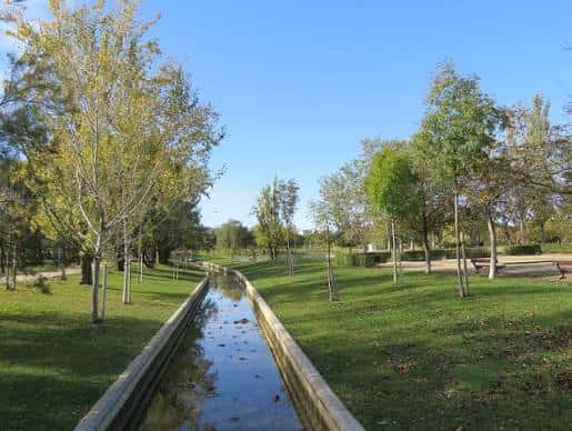 Canal central del parque con árboles y césped bajo cielo despejado