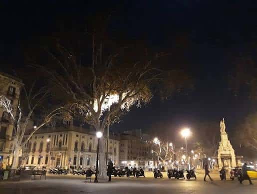 Vista nocturna de la Plaça Pla de Palau con iluminación y árboles