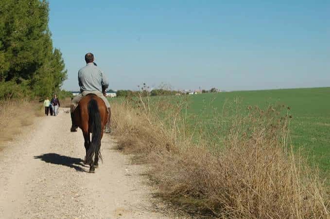 Senderista y jinete recorriendo el camino rural de la Cañada Real Galiana