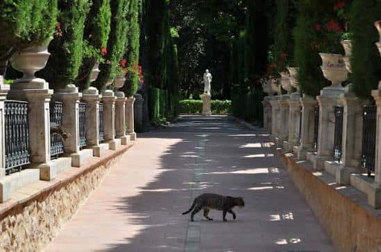 Paseo central del jardín con cipares y una estatua al fondo