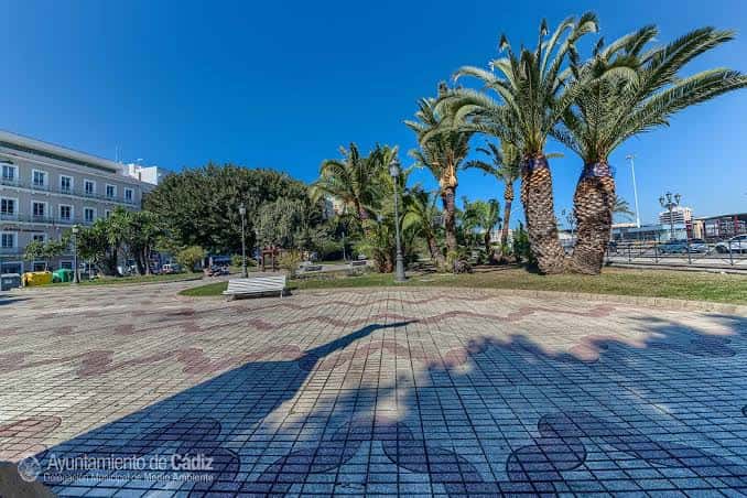Vista amplia del paseo con palmeras, pavimento decorativo y edificios al fondo
