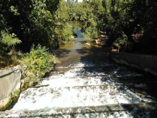 Vista aérea de la desembocadura del río Esgueva en el Pisuerga con vegetación verde