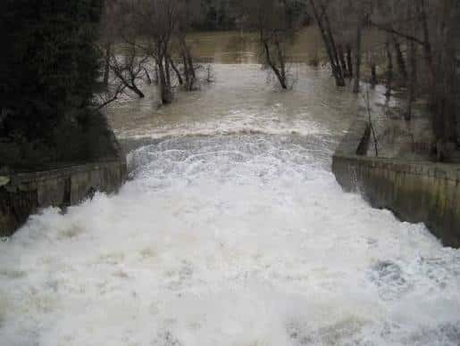Desembocadura del río Esgueva con aguas turbulentas y árboles sin hojas