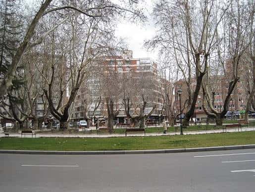Vista de la Plaza Juan Pablo II con árboles y edificios residenciales al fondo