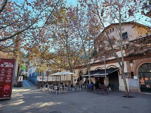 Plaza arbolada en otoño con mesas de cafetería y arquitectura tradicional catalana