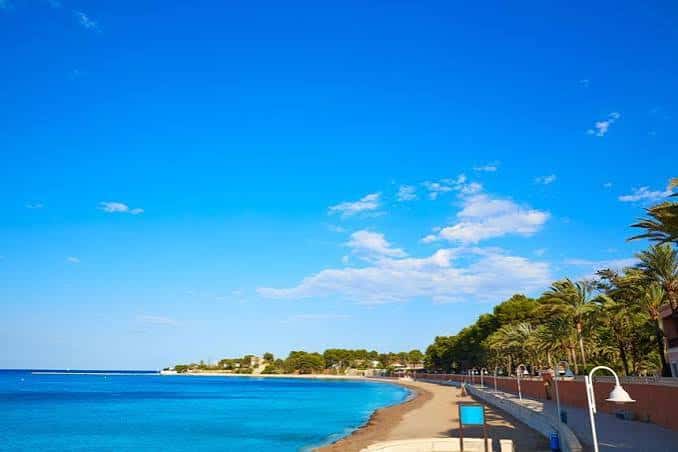 Paseo marítimo con palmeras y calzada junto a la costa, perfecto para recepciones o ceremonias costeras
