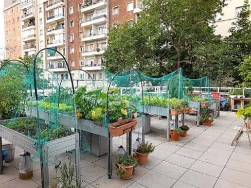 Huerto comunitario en la terraza del Casal de Gent Gran