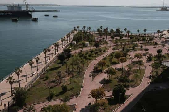 Paseo marítimo bordeado de palmeras junto al puerto