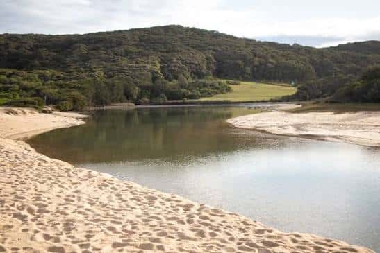 Lago tranquilo rodeado de dunas de arena y bosque verde