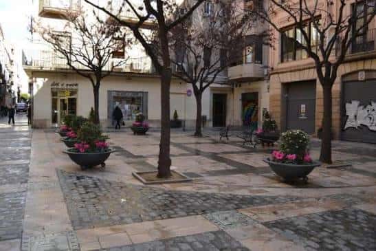 Plaza decorada con macetas florales y bancos entre árboles