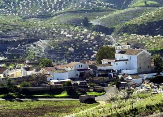 Vista panorámica del pueblo de Campo López en floración
