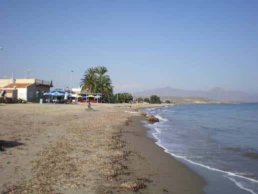 Playa con palmeras y edificaciones costeras bajo un cielo despejado