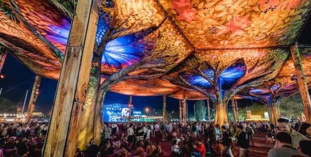 Área interior iluminada con proyecciones artísticas en forma de árboles durante la noche