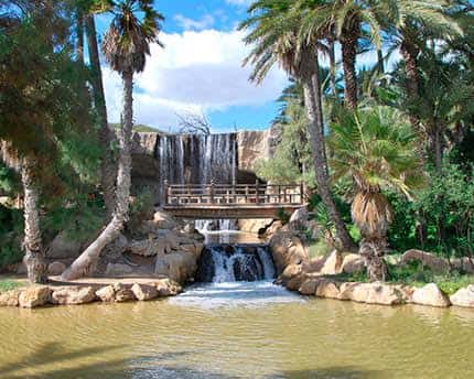 Cascada y puente de madera rodeado de palmeras en el Parque El Palmeral