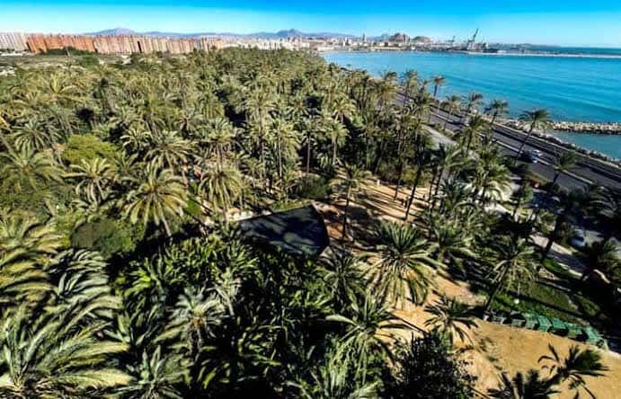 Vista aérea del parque con extensas palmeras frente al mar y la ciudad de Alicante al fondo