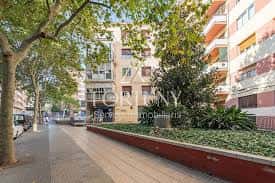 Vista de la acera arbolada y fachadas residenciales en Carrer del General Moragues
