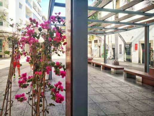 Área peatonal de la plaza con bancas bajo pérgola y flores de buganvilla