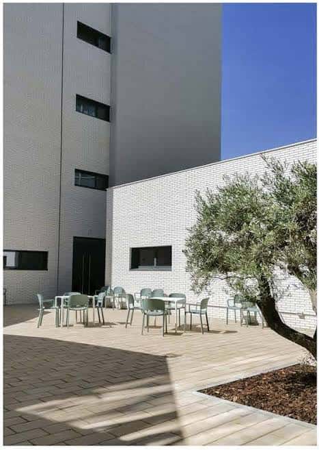 Terraza exterior de la residencia con mesas y sillas bajo un árbol de olivo