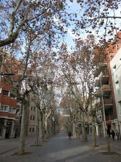 Vista actual de la Rambla Rafael Casanova en Sant Boi con árboles y edificios residenciales