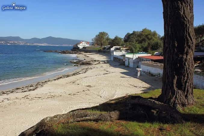 Playa vacía con árboles y edificios costeros al fondo