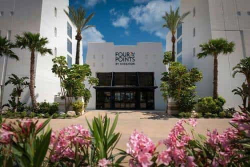Fachada principal del hotel con palmeras y flores rosas