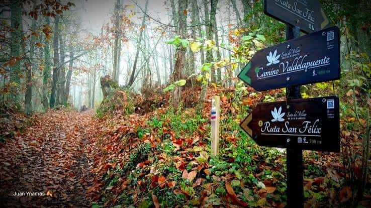 Caminos forestales con señalización de rutas y senderismo