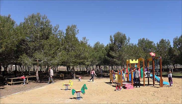 Área de juegos infantiles en el área recreativa con niños jugando bajo los pinos